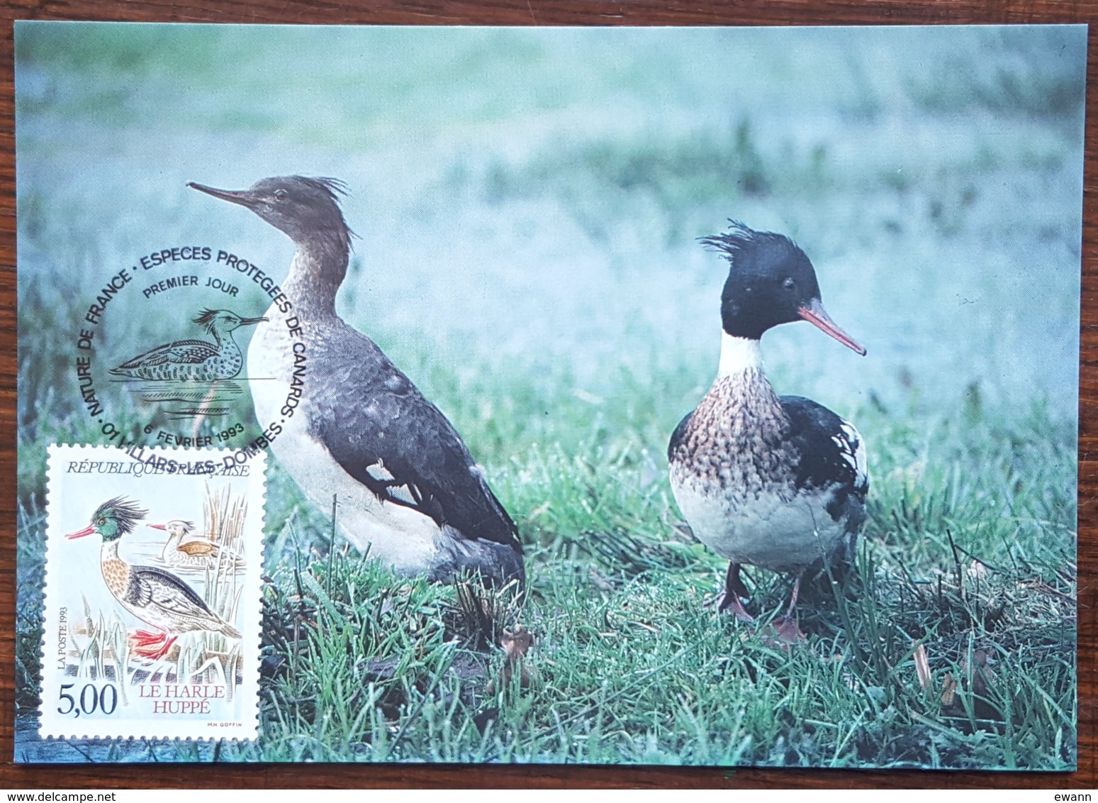 CM 1993 - YT N°2788 - NATURE DE FRANCE / CANARDS - VILLARS LES DOMBES - 1990-1999