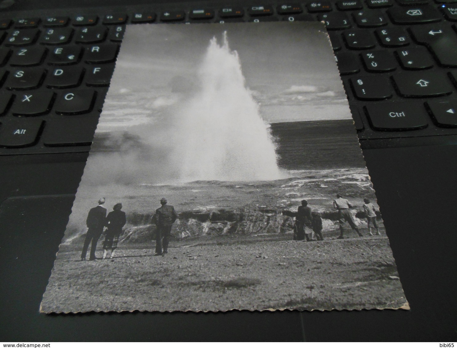 TARIF AIR MAIL 2.50KR THEME CANARDS 4 SEP 60 THE GREAT GEYSIR HAS GIVEN ITS NAME TO HOT SPRINGS ALL OVER THE WORLD - Poste Aérienne