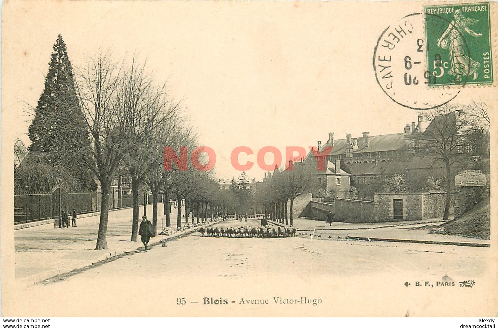 SL 41 BLOIS. Troupeau De Moutons Avenue Victor-Hugo 1913 - Blois