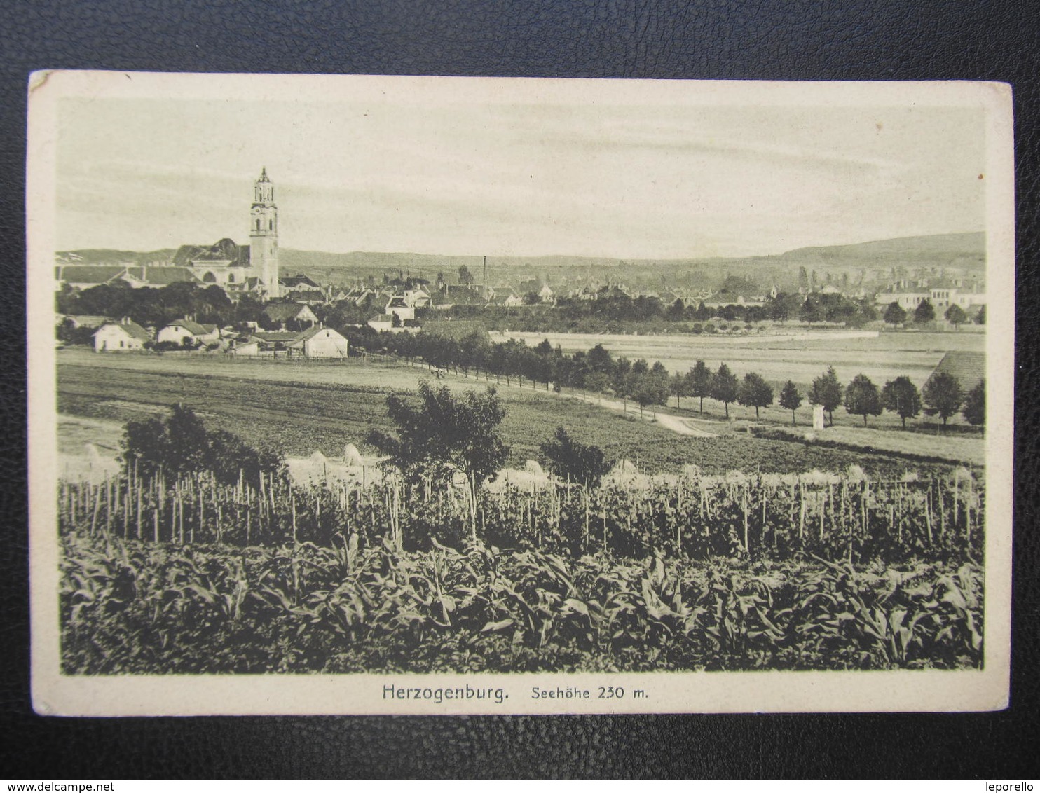 AK HERZOGENBURG 1915 ////  D*43612 - Herzogenburg