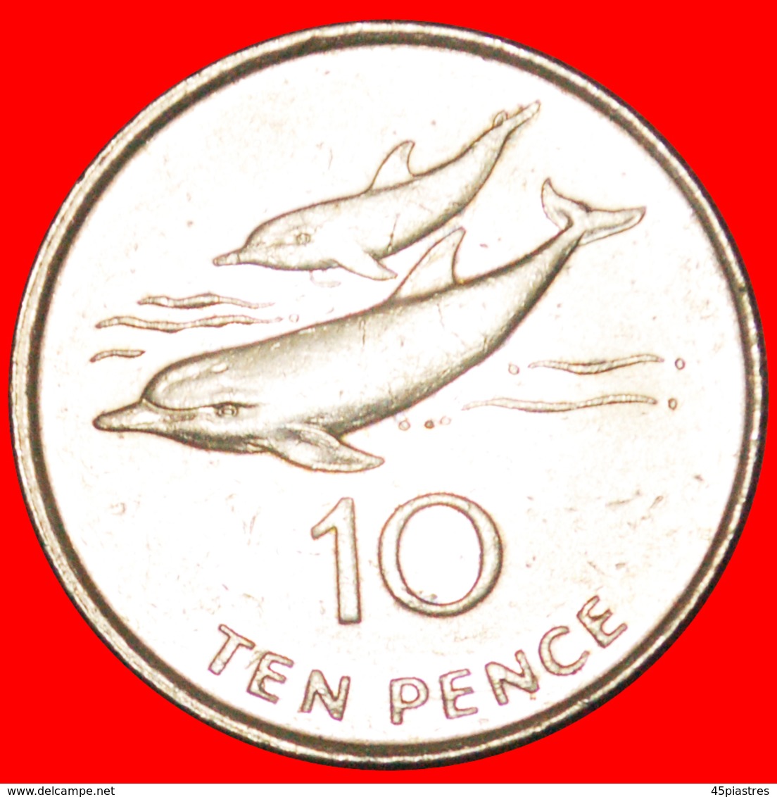 · DOLPHINS (1998-2015): ST. HELENA + ASCENSION ★ 10 PENCE 1998! LOW START ★ NO RESERVE! - Sainte-Hélène