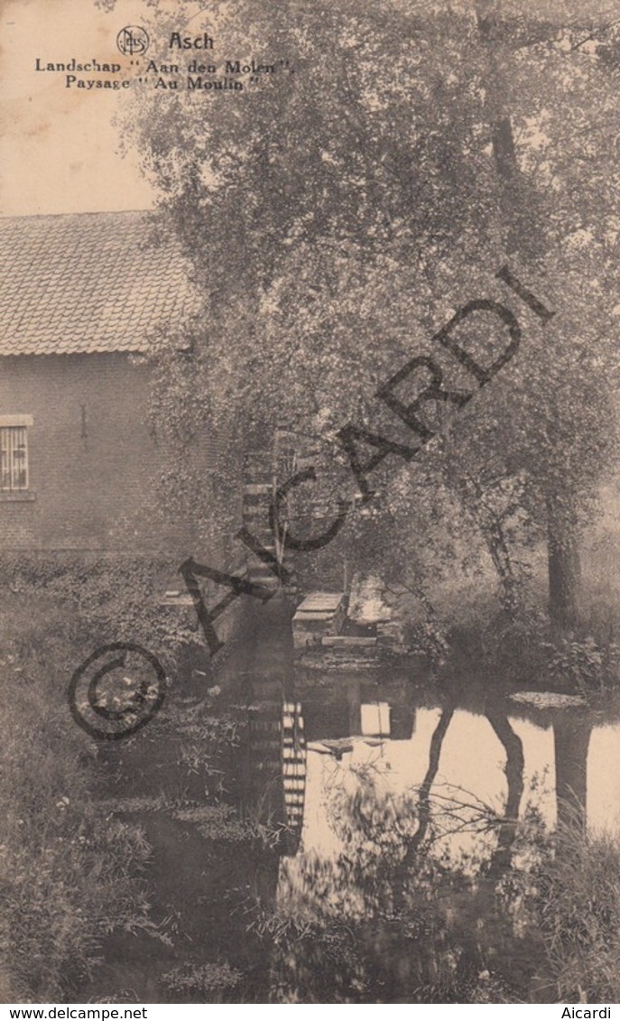 Postkaart - Carte Postale - AS - Aan Den Molen  (A247) - As