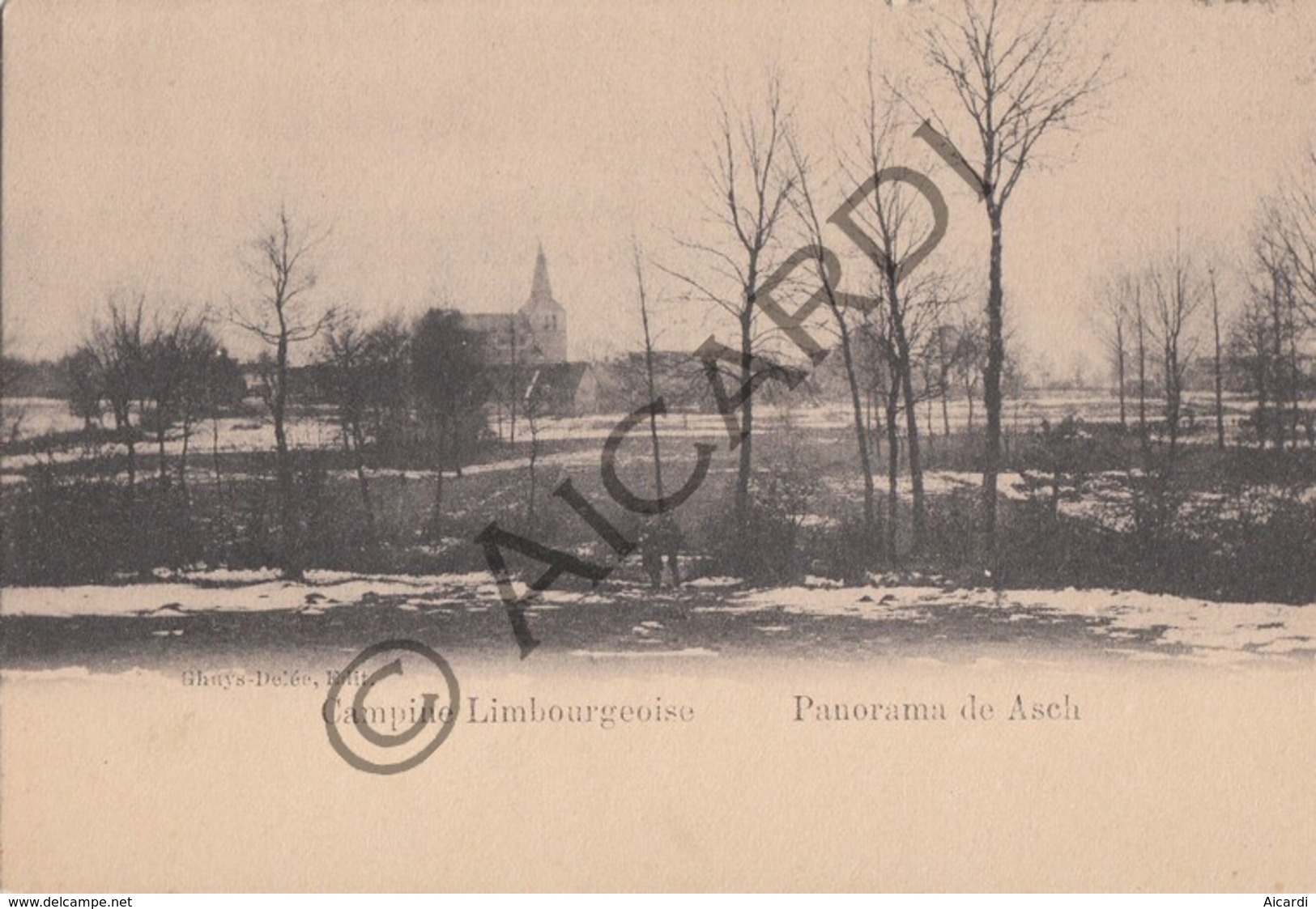Postkaart - Carte Postale - AS - Campine Limbourgeoise (B449) - As