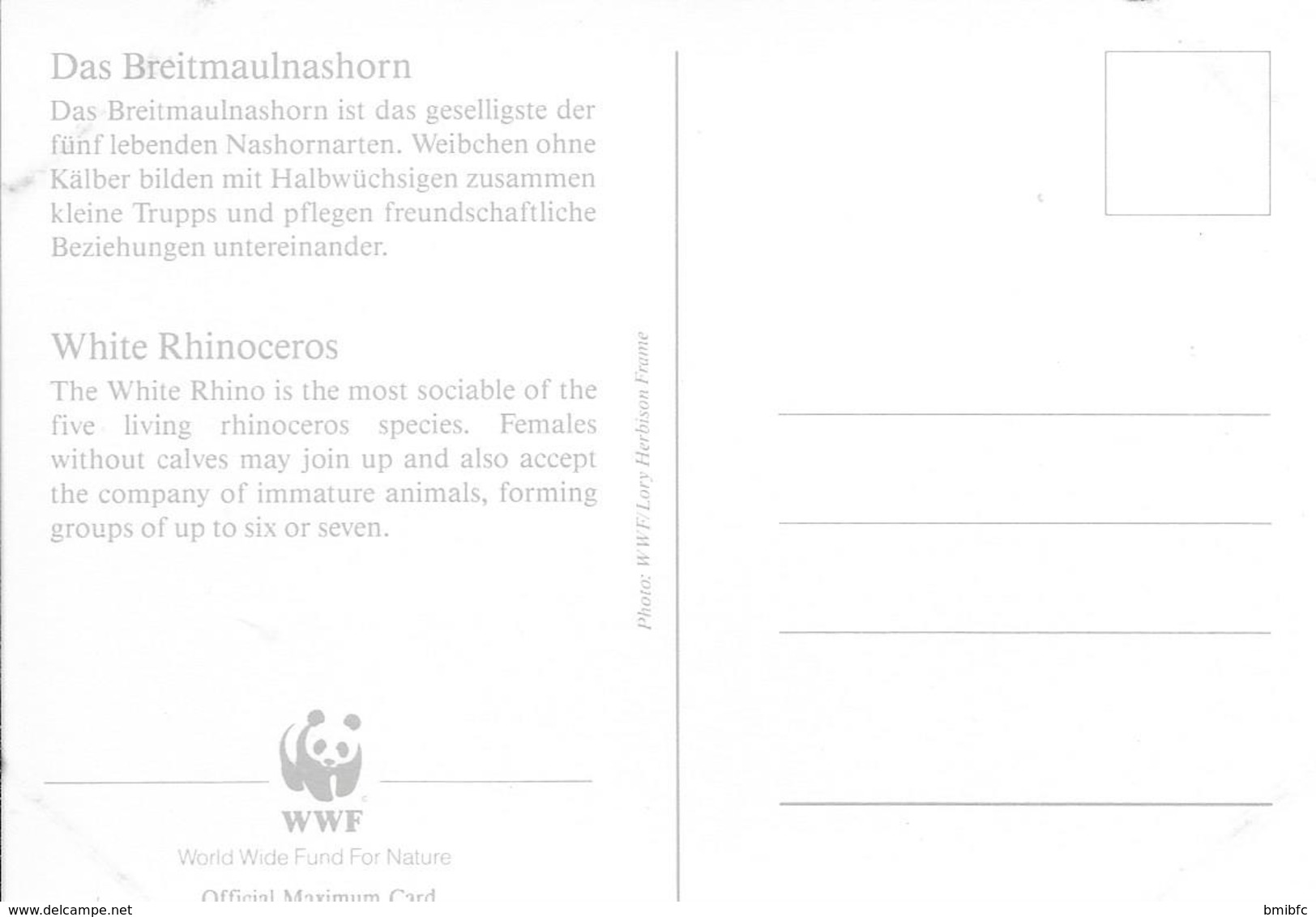 WWF - Das Breitmaulnashorn - Rhinocéros