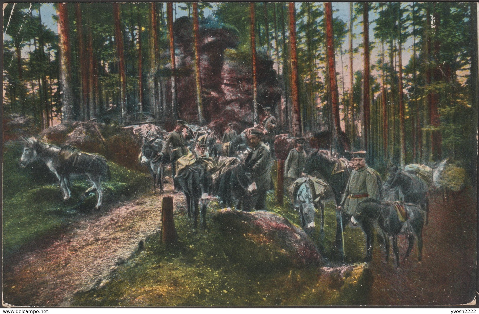 Allemagne 1916. Carte De Franchise Militaire. Images De Guerre Des Vosges. Groupe D'ânes Et De Mulets - Ezels