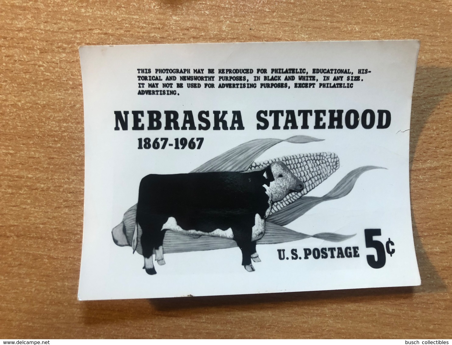 USA Etats-Unis USPS - Epreuve Photo Publicity Essay Kodak Nebraska Statehood 1867 - 1967 Cow Vache Kuh Mais - Altri & Non Classificati