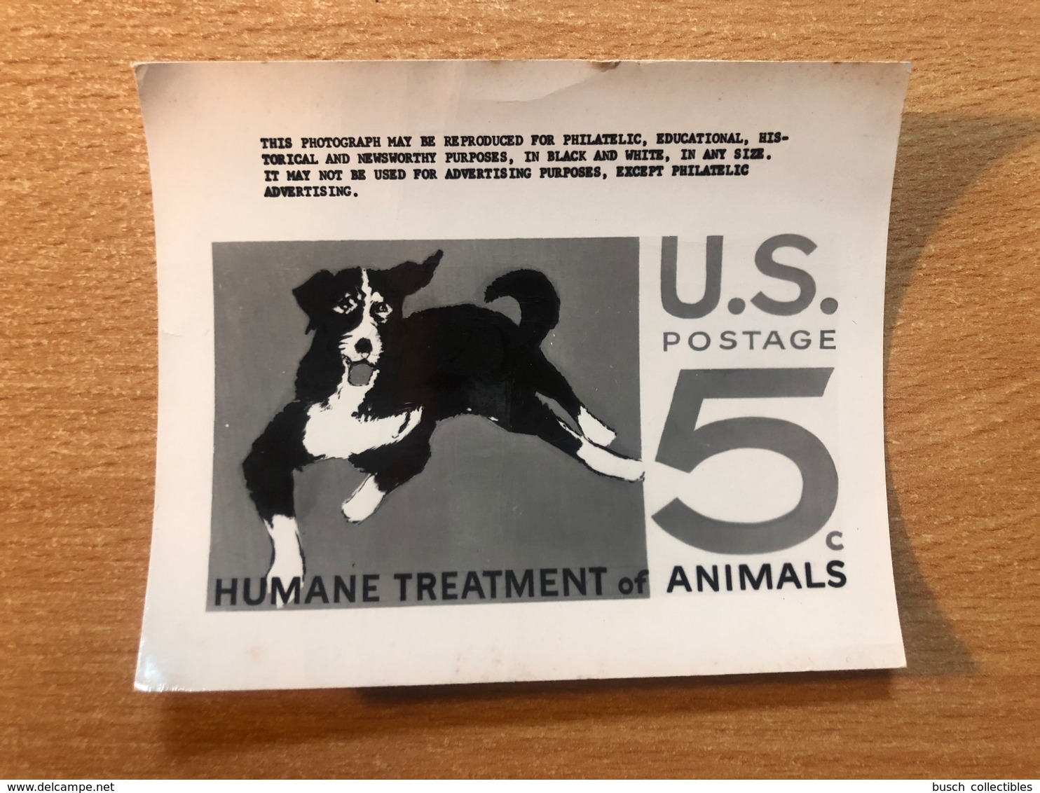 USA Etats-Unis USPS - Epreuve Photo Publicity Essay Kodak Humane Treatmant Of Animals Chien Dog Hund - Perros