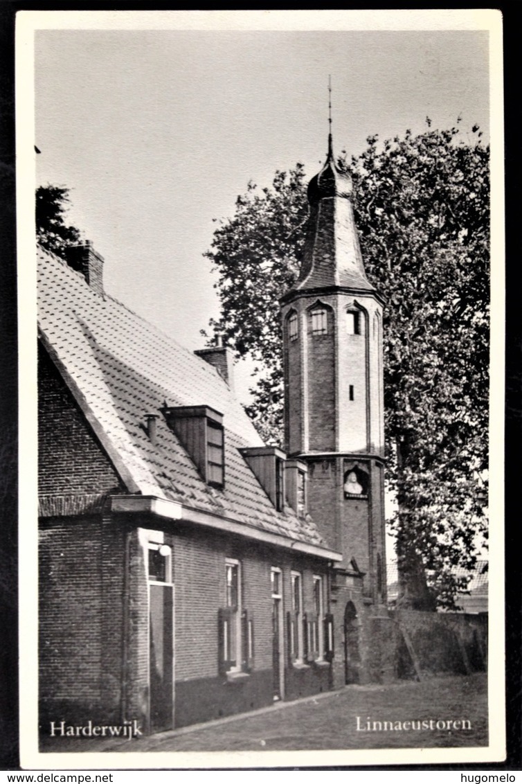 Netherlands, Uncirculated Postcard,  "Architecture", "Churches", "Cities", "Harderwijk" - Harderwijk