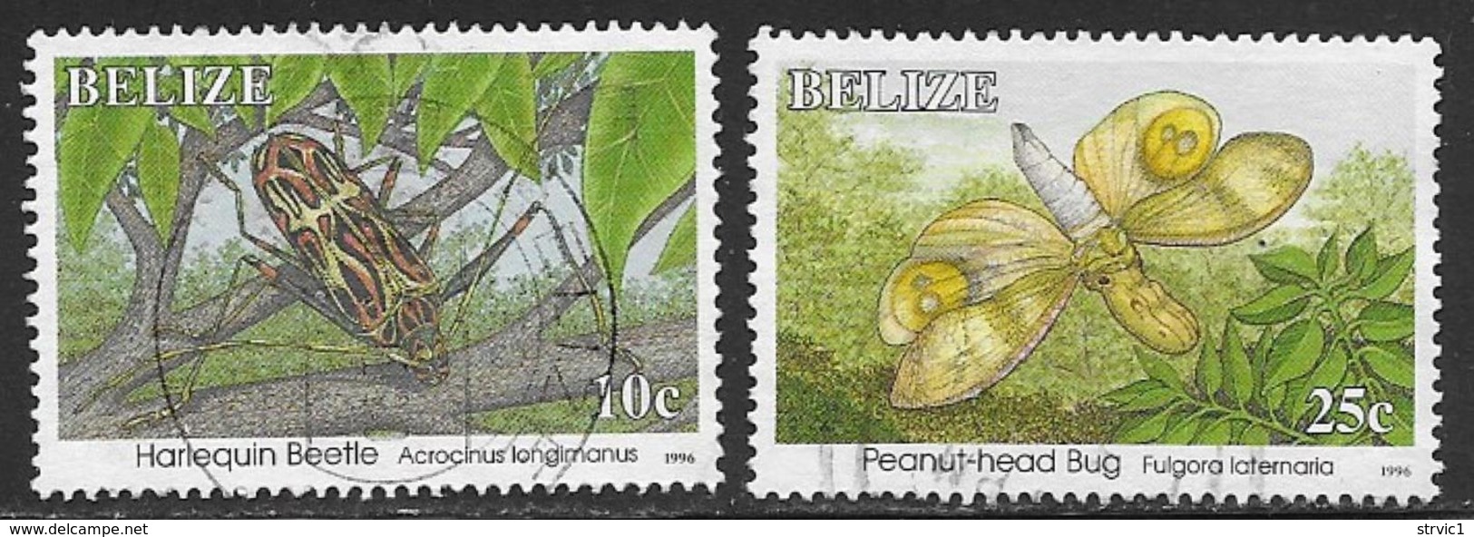 Belize Scott # 1036a, 1038a Used Insects, 1996 - Belize (1973-...)