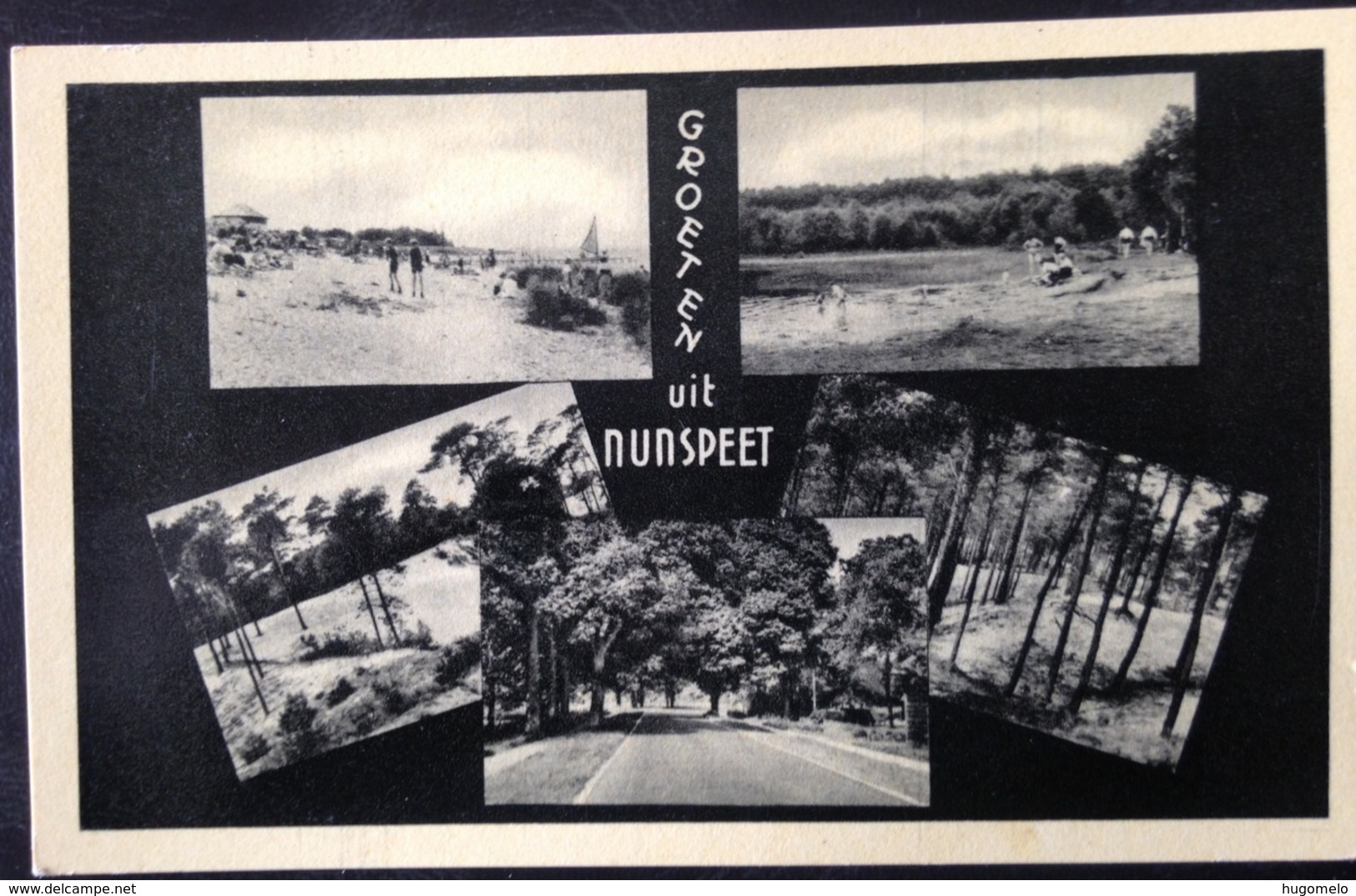 Netherlands, Uncirculated Postcard,  "Landscapes", "Nature", "Cities", "Nunspeet" - Nunspeet