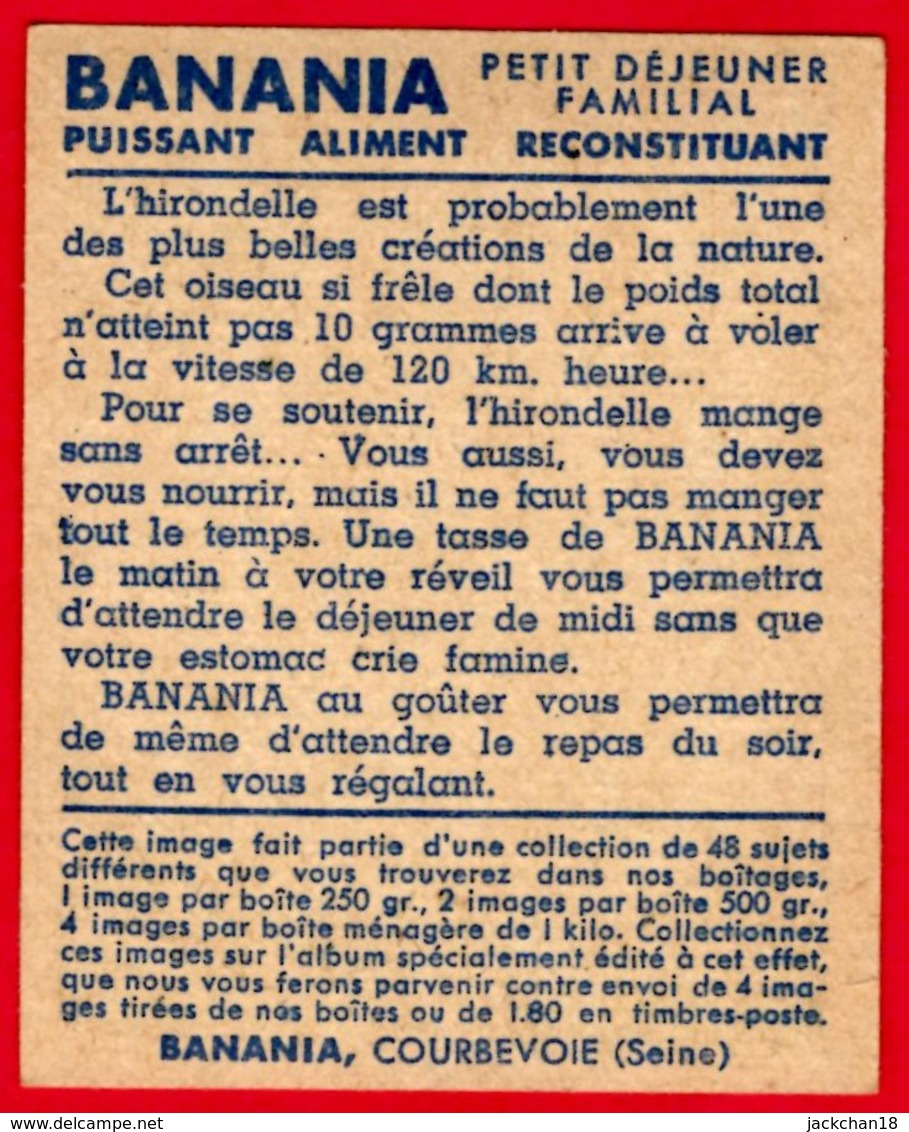 -- IMAGE BANANIA  N° 44  - L'HIRONDELLE BELLE CREATION DE LA NATURE -- - Banania