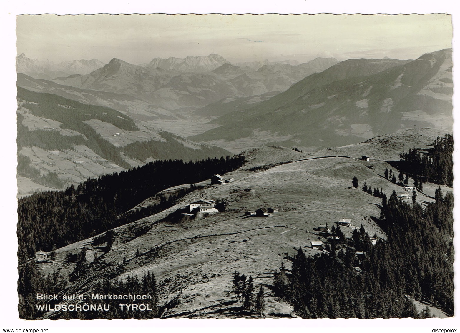 V5491 Blick Auf Den Markbachjoch - Wildschonau - Tirol / Viaggiata 1954 - Wildschönau