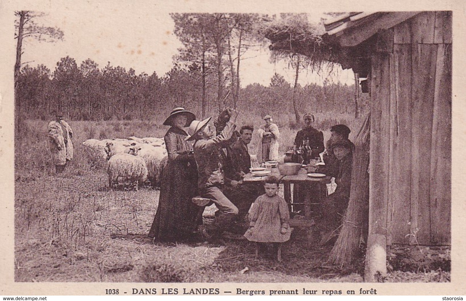 D40  Dans Les Landes Bergers Prenant Leur Repas En Forêt - Autres & Non Classés