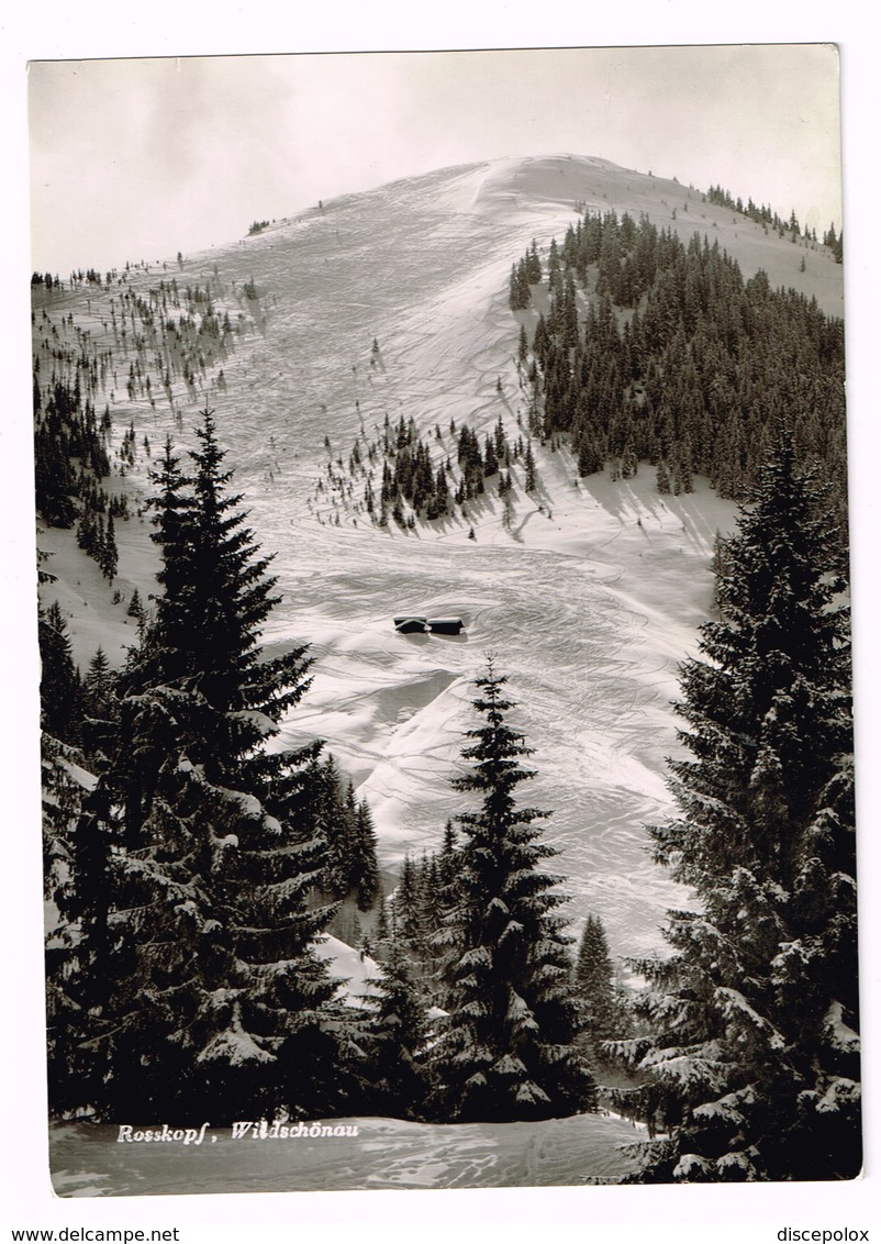 V5493 Rosskopf Wildschonau - Tirol / Viaggiata 1962 - Wildschönau