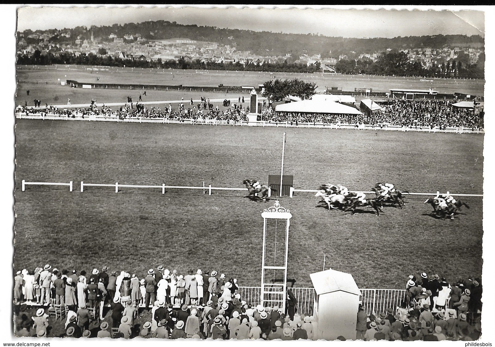 HIPPISME  Hippodrome ( Deauville ) - Horse Show