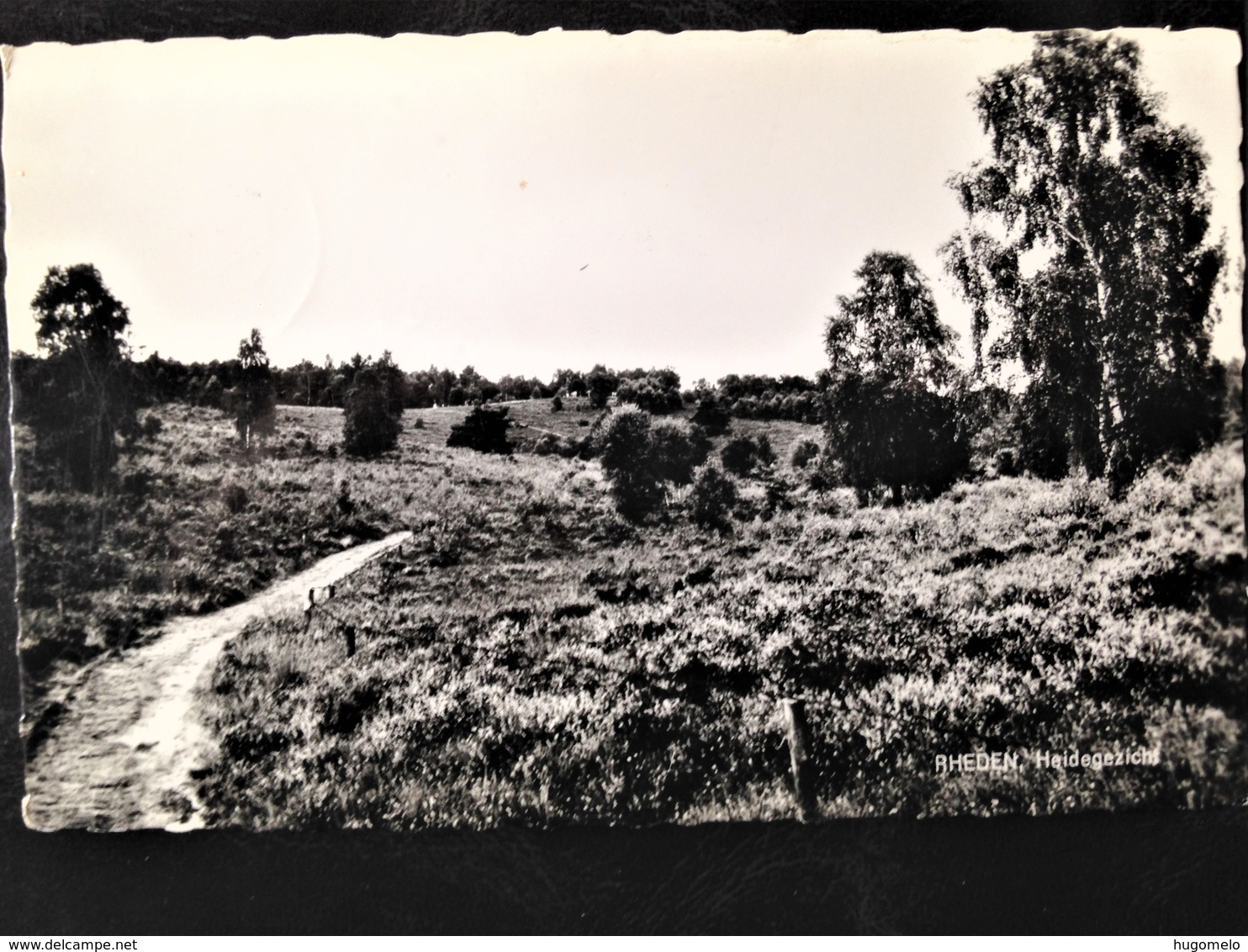 Netherlands, Circulated Postcard,  "Nature", "Landscapes", "'Rheden", 1967 - Rheden