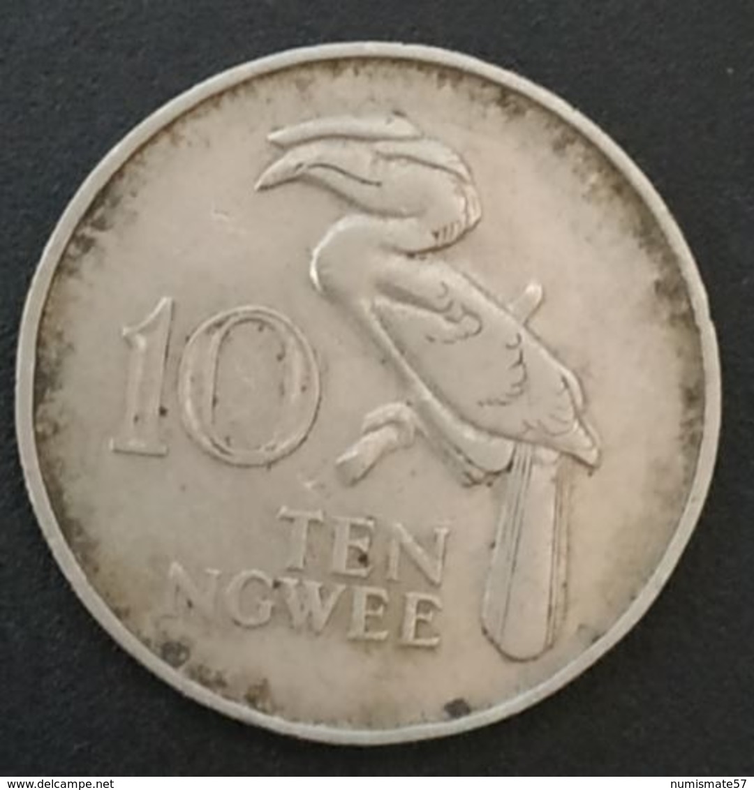 ZAMBIE - ZAMBIA - 10 - TEN NGWEE 1968 - KM 12 - Calao Couronné - Zambie