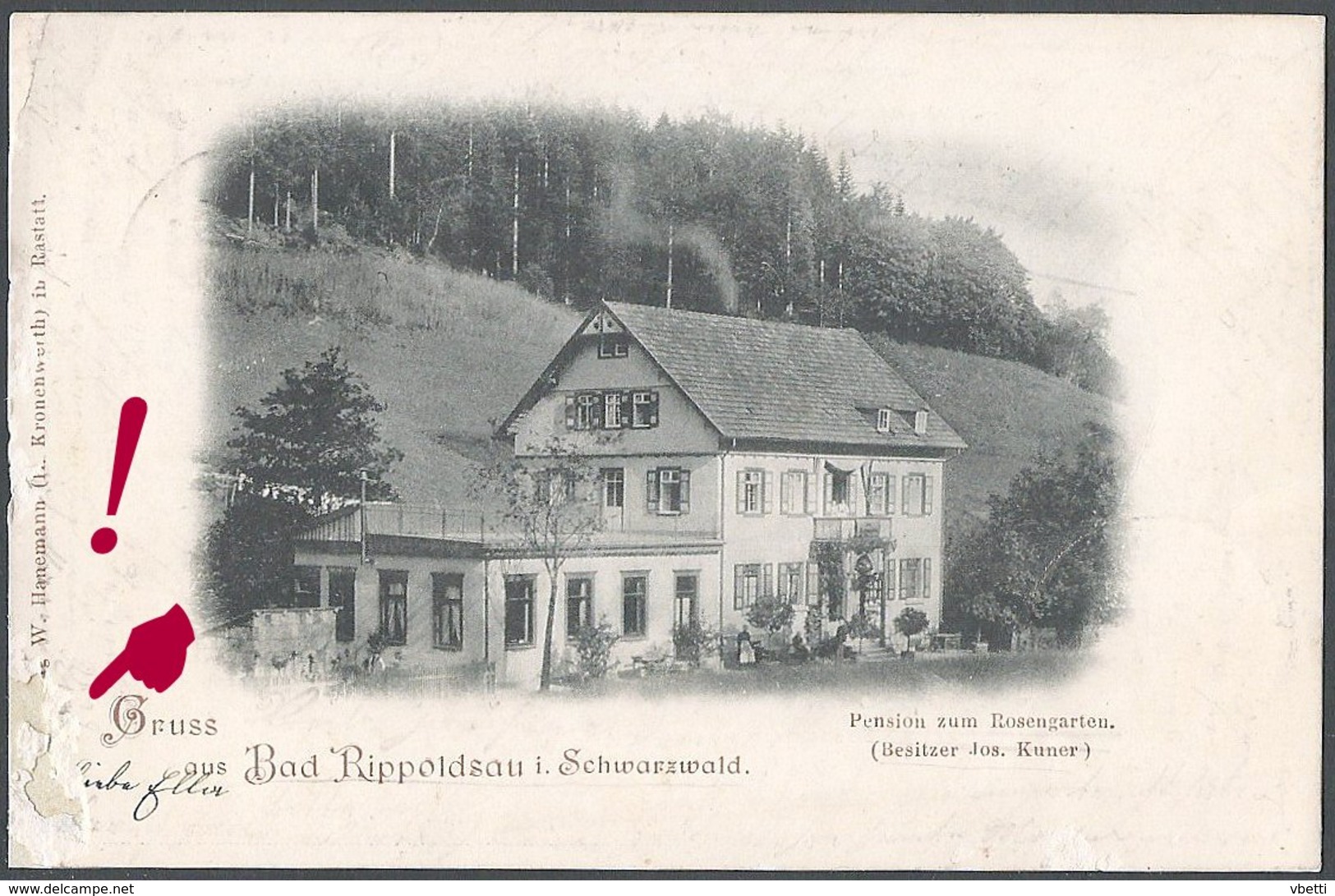 Deutschland / Germany: Bad Rippoldsau, Pension Zum Rosengarten (Besitzer Jos. Kuner)  1899 - Bad Rippoldsau - Schapbach