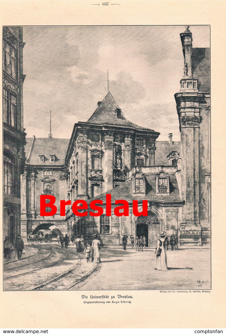 A102 451 Breslau 100 Jahre Universität Polen Artikel Mit 7 Bildern 1911 !! - Autres & Non Classés