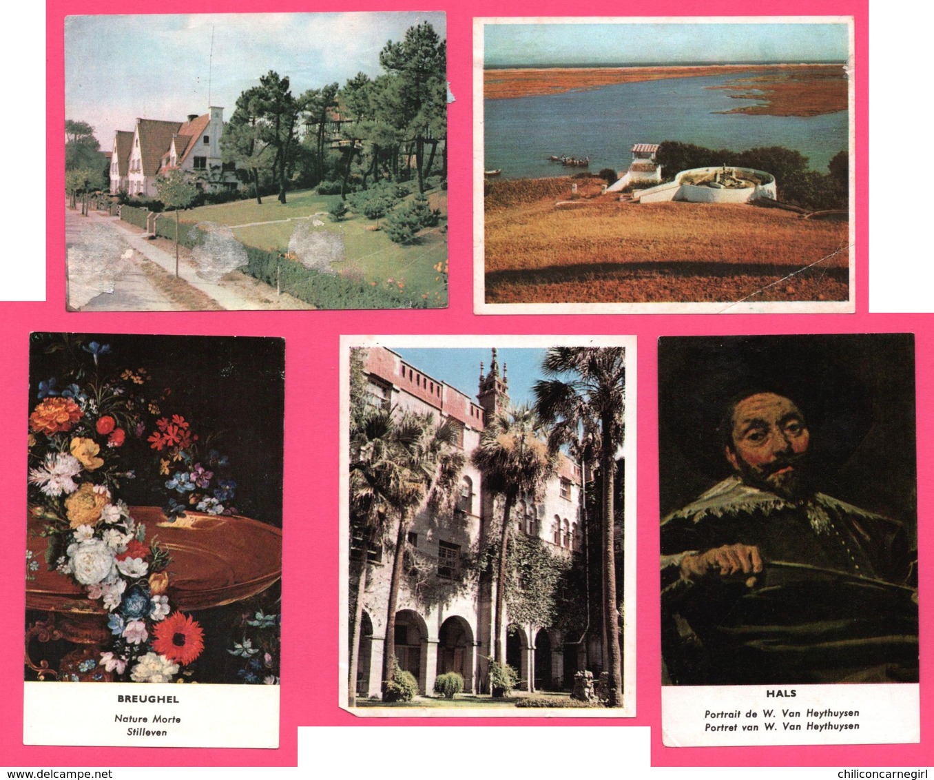 5 Chromos - Le Timbre TINTIN - Kuifje's Bons - Hals - Breughel - Villas - Cote Portugaise - Augustine VICTORIA - Chromo - Victoria