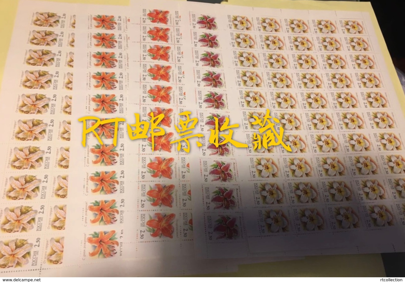 Russia 2002 - 5 Sheets Lilies Nature Flowers Plants Flora Flower Plant Gilded Lily Regal Cinnabar Stamps MNH Mi 966-970 - Feuilles Complètes