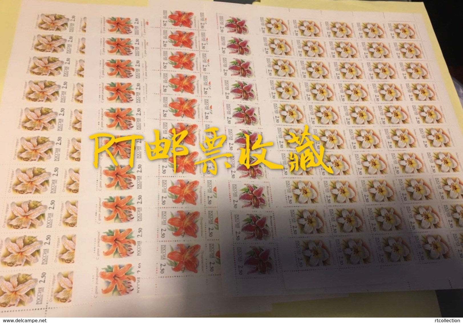 Russia 2002 - 5 Sheets Lilies Nature Flowers Plants Flora Flower Plant Gilded Lily Regal Cinnabar Stamps MNH Mi 966-970 - Ganze Bögen