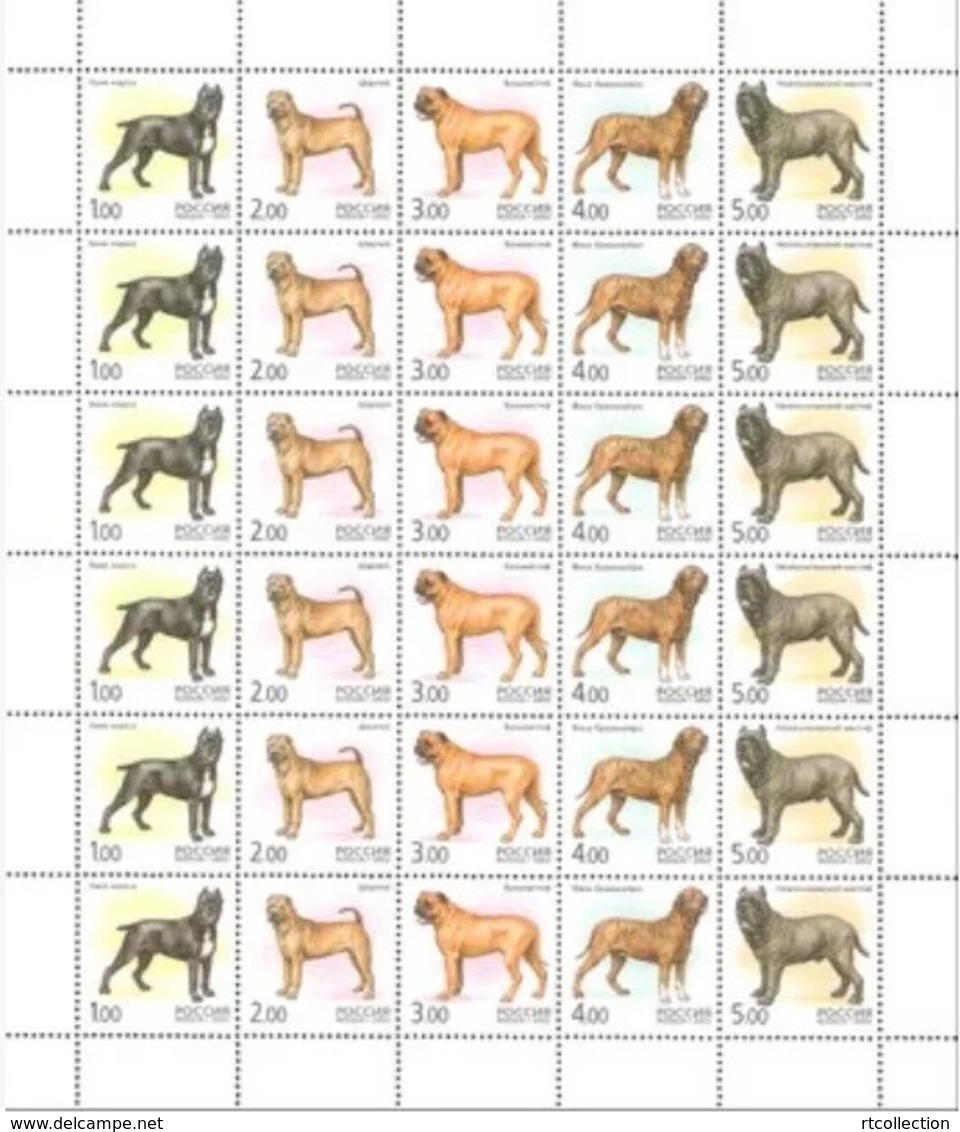 Russia 2002 Sheet Animals Fauna Dog Mammals Dogs Sharpey Bull Mastiff Cane-Corso Stamps MNH Michel 971-975 Sc#6694 - Hojas Completas