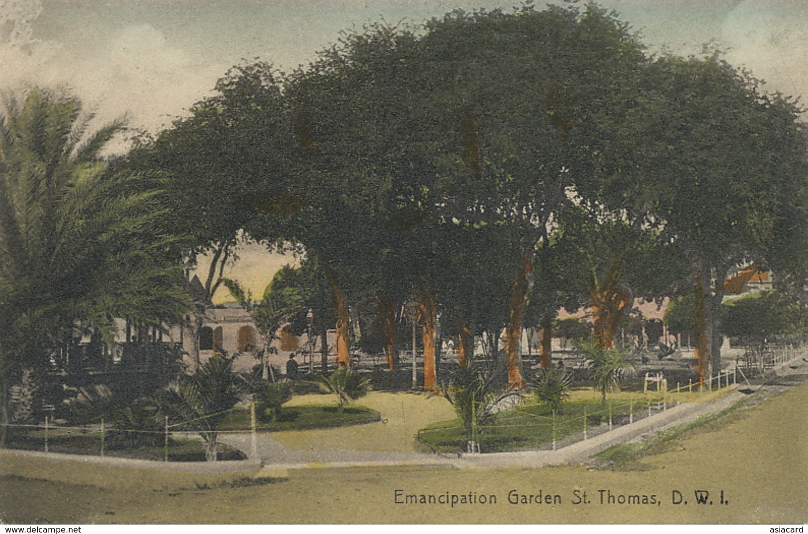 ST Thomas Danish West Indies D.W.I.  Edit Lightbourn's .Emancipation Garden . Hand Colored - Virgin Islands, US