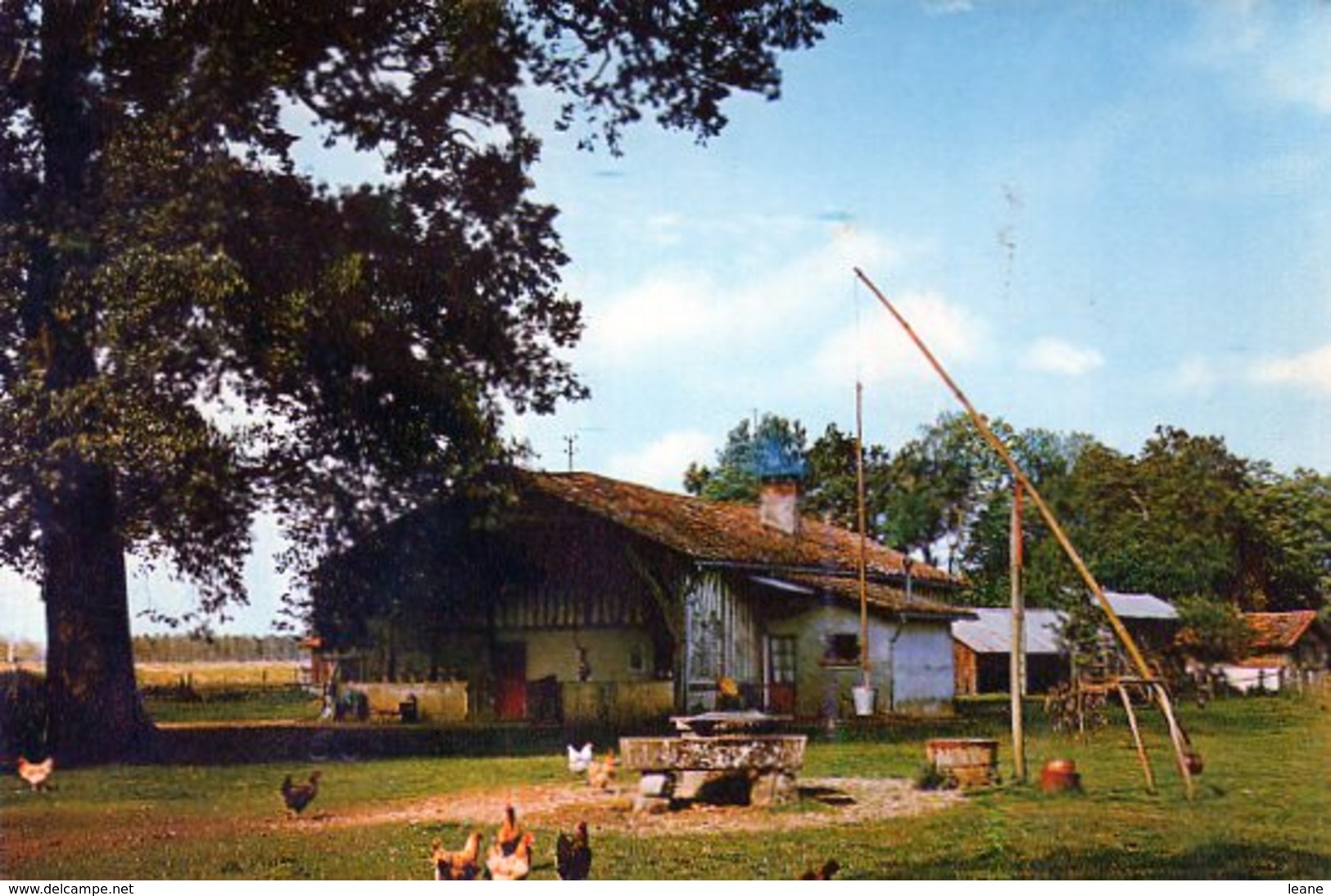 Métiers Anciens - Traditions - Paysan - Ferme Gasconne Avec Puits à Balancier - Paysans