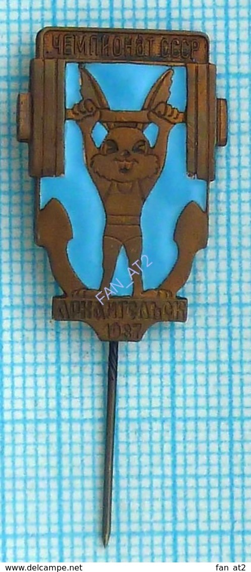 USSR / Badge / Soviet Union / RUSSIA / Arkhangelsk. Weightlifting. Barbell. Hare. 1987 - Pesistica