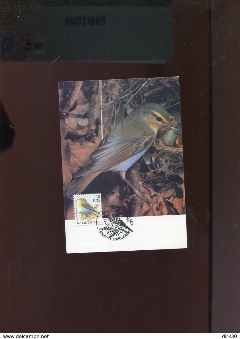 Belgie Buzin Vogels Birds 2936 Maximumkaart Gekleurd MB RR Charleroi - 1991-2000