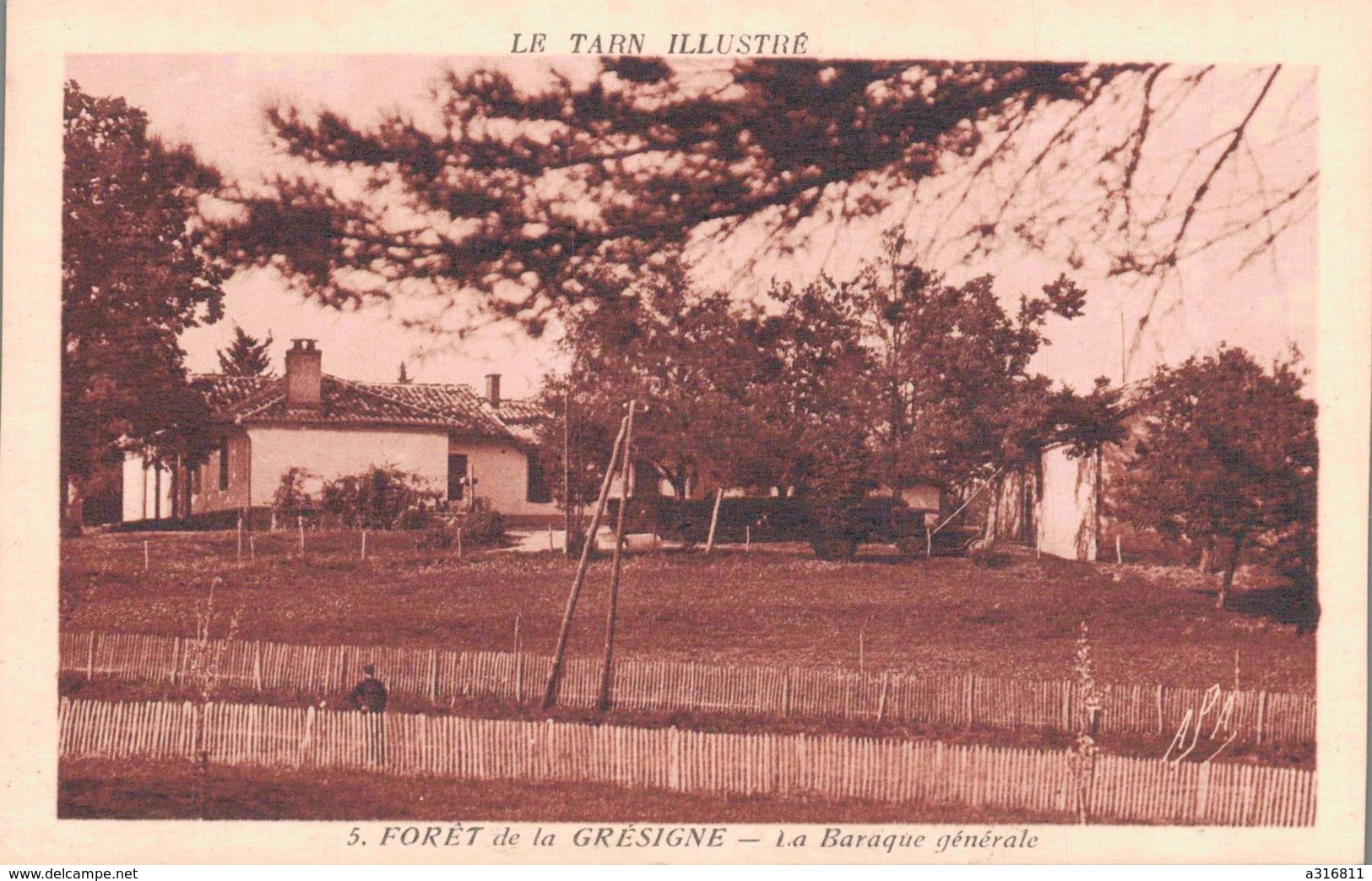 FORET DE LA GRESIGNE  LA BARAQUE GENERALE - Vaour