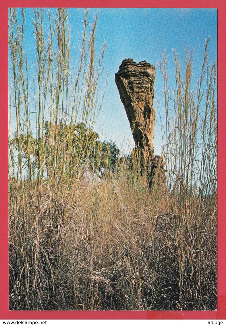 HAUTE-VOLTA -SINDOU Près De BANFORA - Pic Ou "cheminée" Façonnée Par L'érosion*2 SCANS *** - Burkina Faso