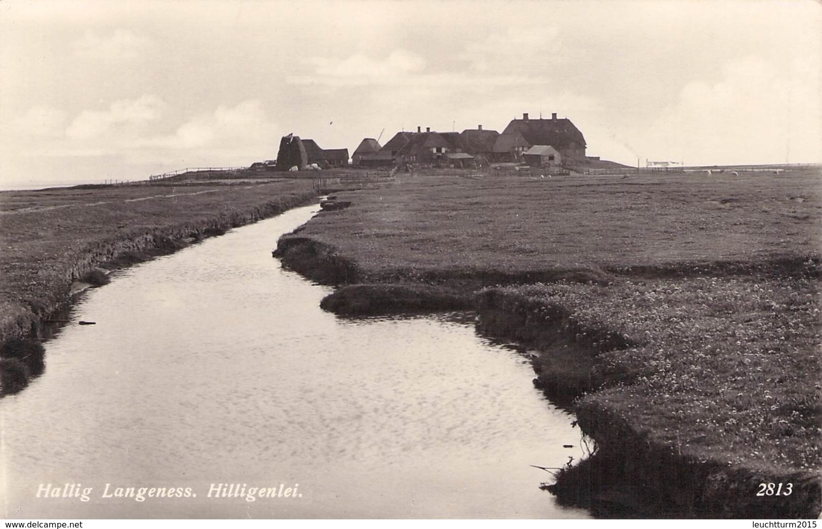 HALLIG LANGENESS - HILLIGENLEI  /ak375 - Halligen