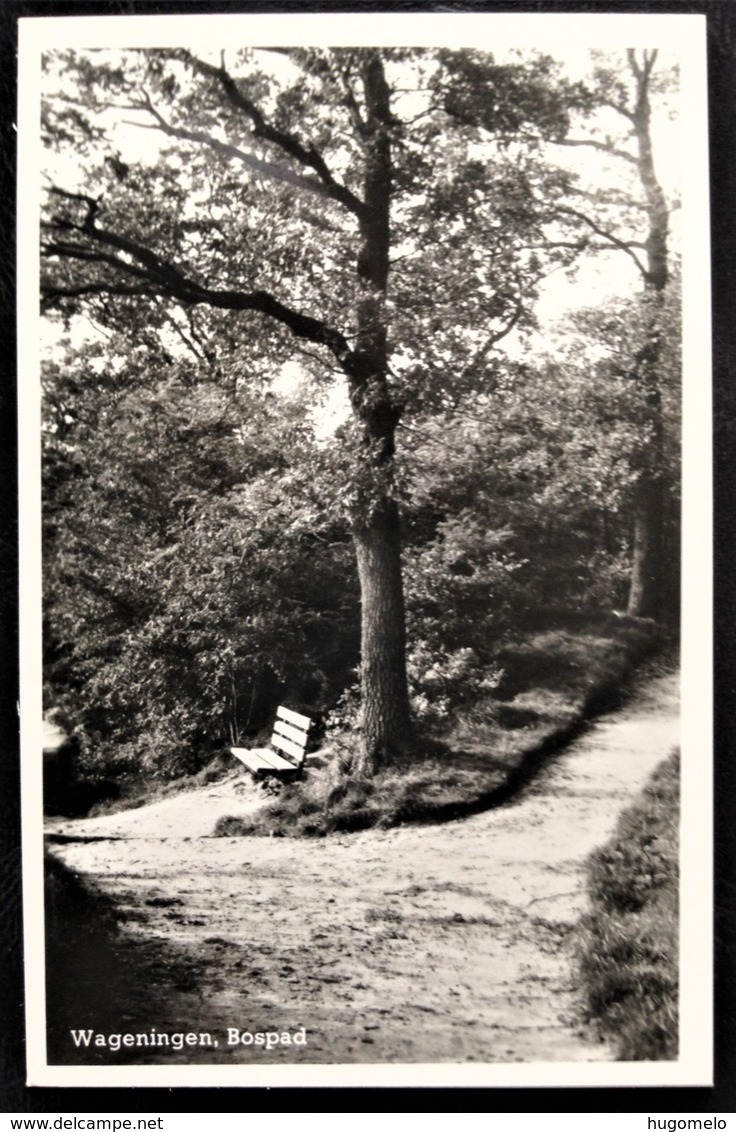 Netherlands, Unciculated Postcard,  "Nature", "Landscapes", "Wageningen" - Wageningen