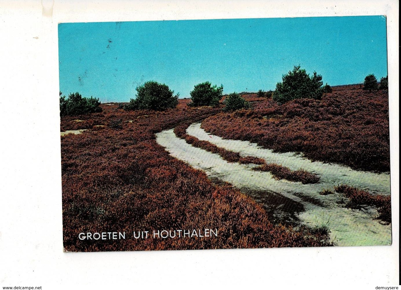 53663 - GROETEN UIT HOUTHALEN - Houthalen-Helchteren