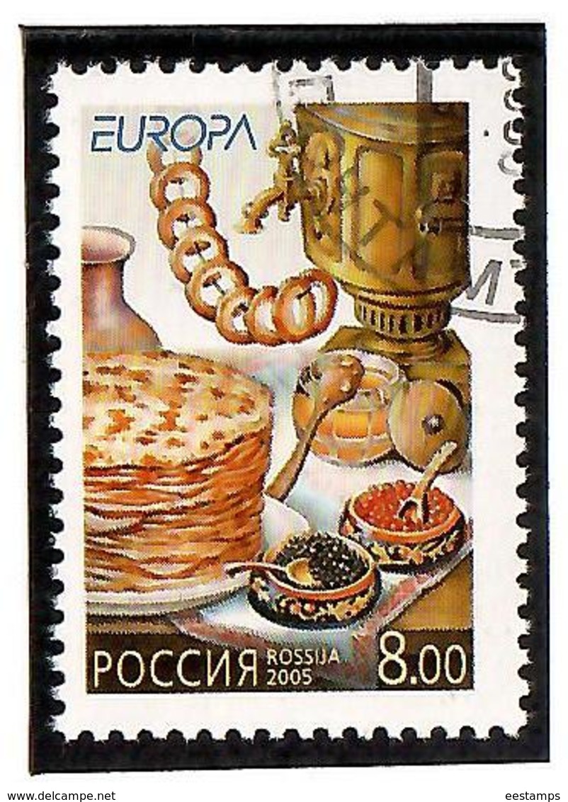 Russia 2005 .  EUROPA 2005. 1v: 8.00.    Michel #  1261  (oo) - Used Stamps