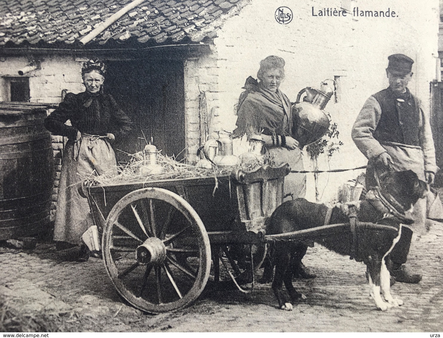 "Laitière Flamande Et Son Attelage De Chien Avant Son Départ"(2125) - Kunsthandwerk