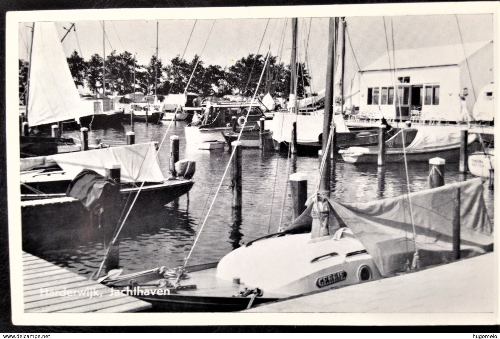 Netherlands, Uncirculated Postcard, "Boats", "Yachts", "Cities", "Harderwijk" - Harderwijk