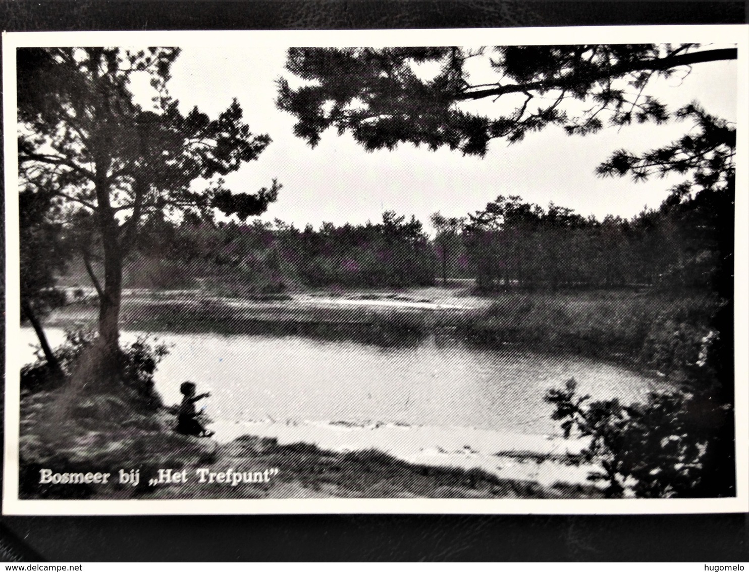 Netherlands, Circulated Postcard, "Nature", "Landscapes", "Cities","Ermelo" - Ermelo