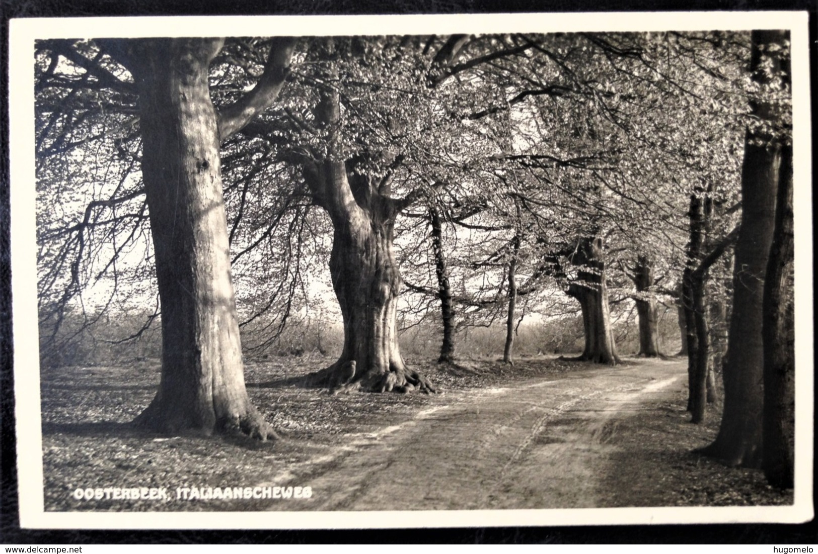 Netherlands, Uncirculated Postcard,  "Nature", "Landscapes", "Oosterbeek" - Oosterbeek