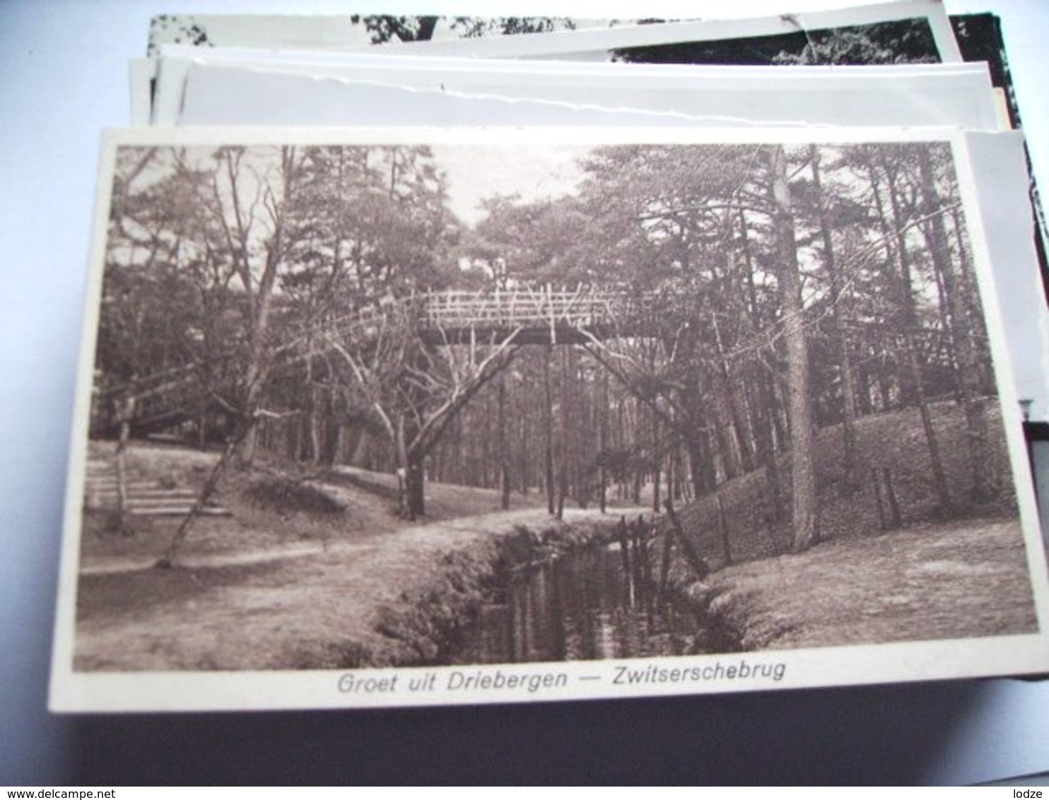 Nederland Holland Pays Bas Driebergen Met Hoge Brug In Het Bos Zwitserschebrug - Driebergen – Rijsenburg