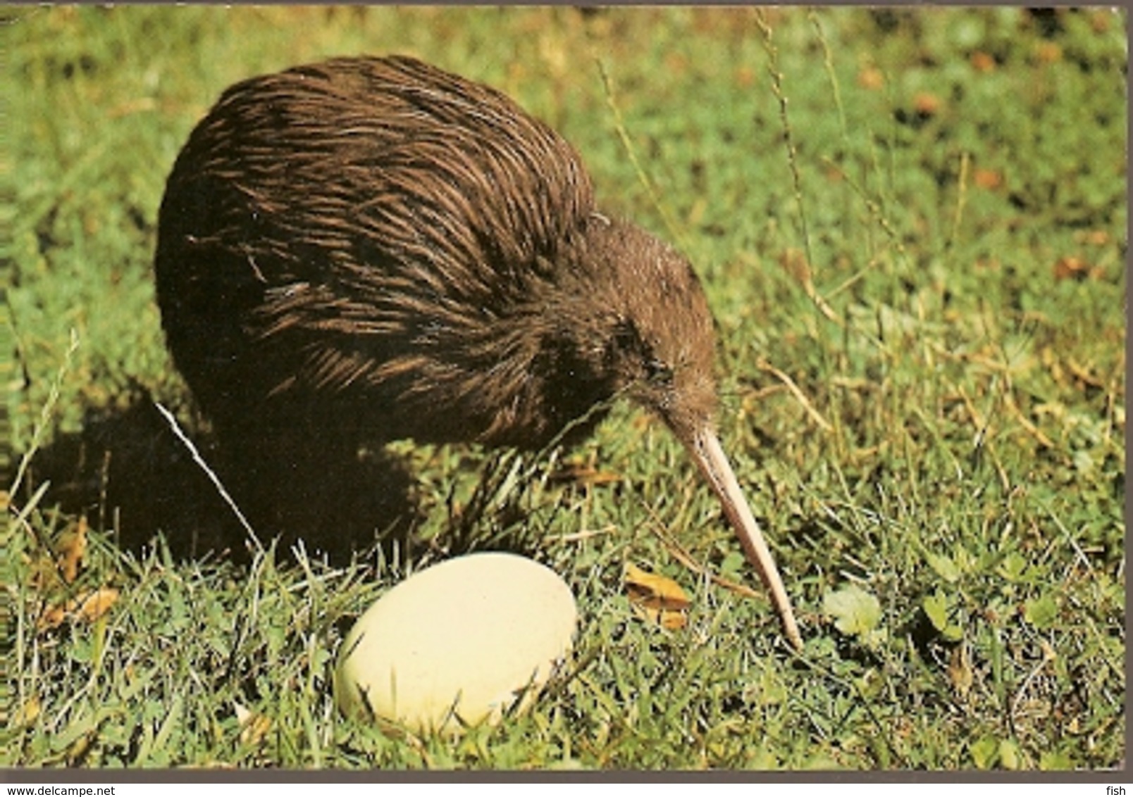 New Zealand & Marcofilia, Kiwi And Egg, Queenstown To Gotemburgo Suécia 1991 (661) - Briefe U. Dokumente