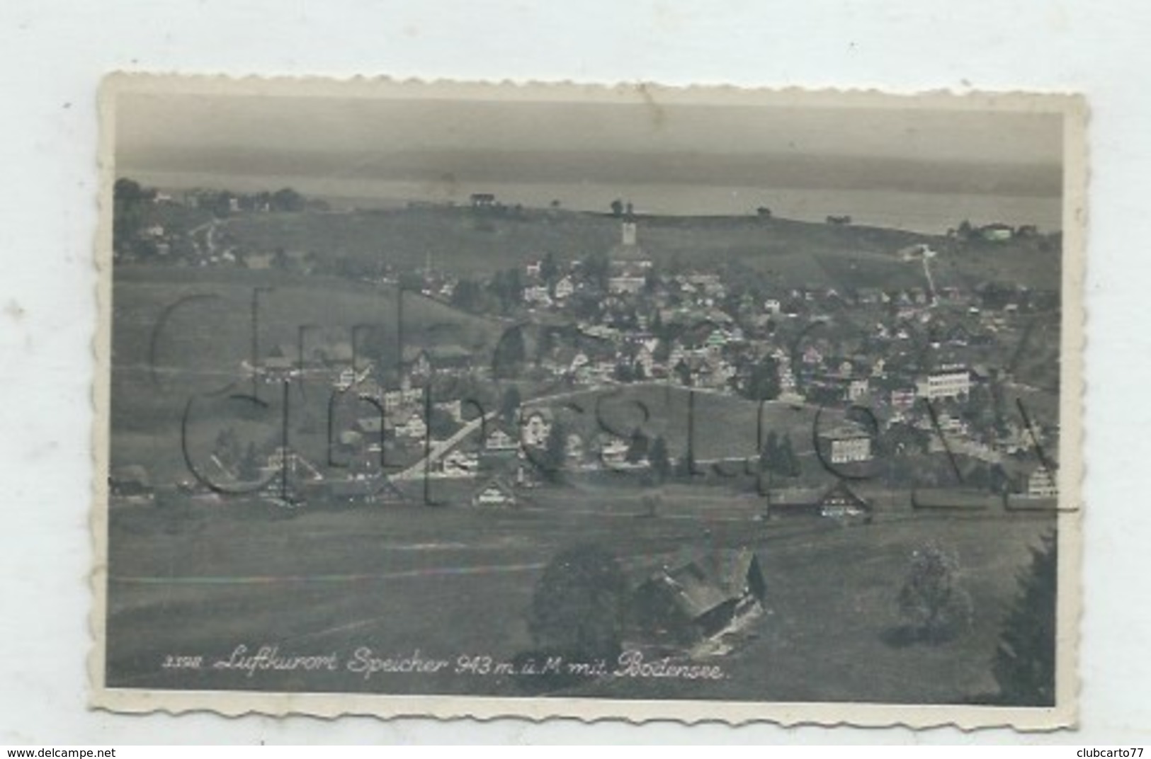 Speicher (Suisse, Appenzell Rhodes-Extérieures) : Vue Panoramique  En 1951 PF - Speicher