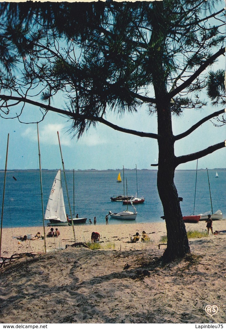 CP 17 Charente-Maritime Ile De Ré Les Portes En Ré Anse Trousse-chemise - Ile De Ré