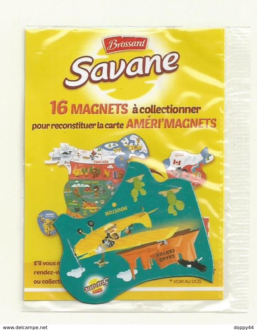 MAGNET SAVANE  AMERI'MAGNETS    HOUSTON/GRAND CANYON  SOUS  BLISTER FERME - Tourism