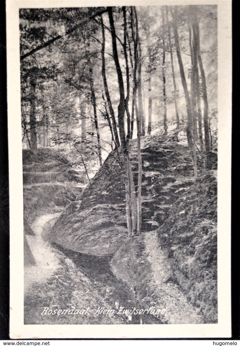 Netherlands, Uncirculated Postcard,  "Landscapes", "Nature", "Rosendaal" - Velp / Rozendaal