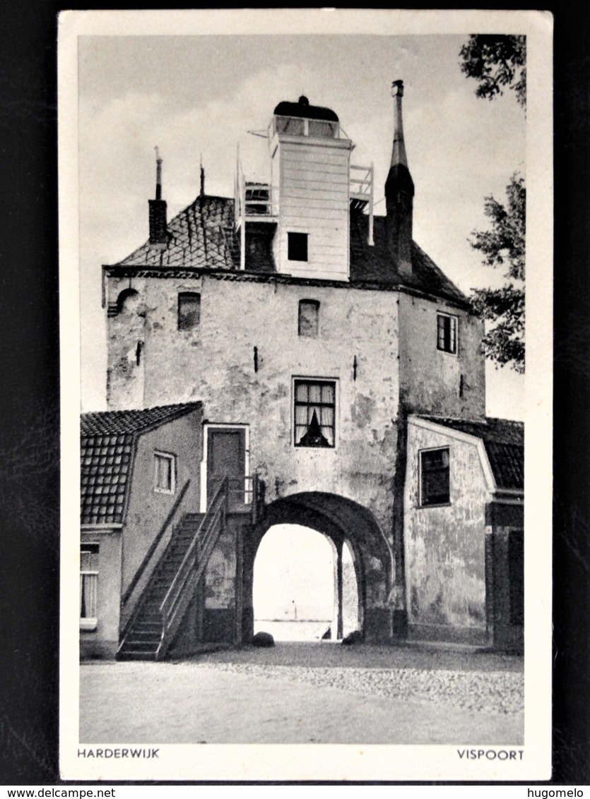 Netherlands, Circulated Postcard,  "Architecture", "Castles", "Harderwijk", 1951 - Harderwijk