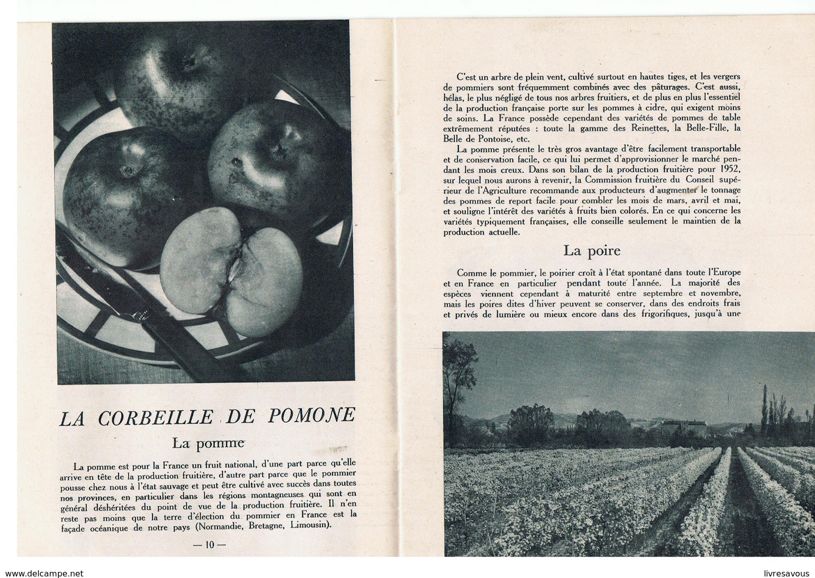 Scolaire La Documentation Française Illustrée N°63 De Mars 1952 Fruits De France - Cuisine & Vins