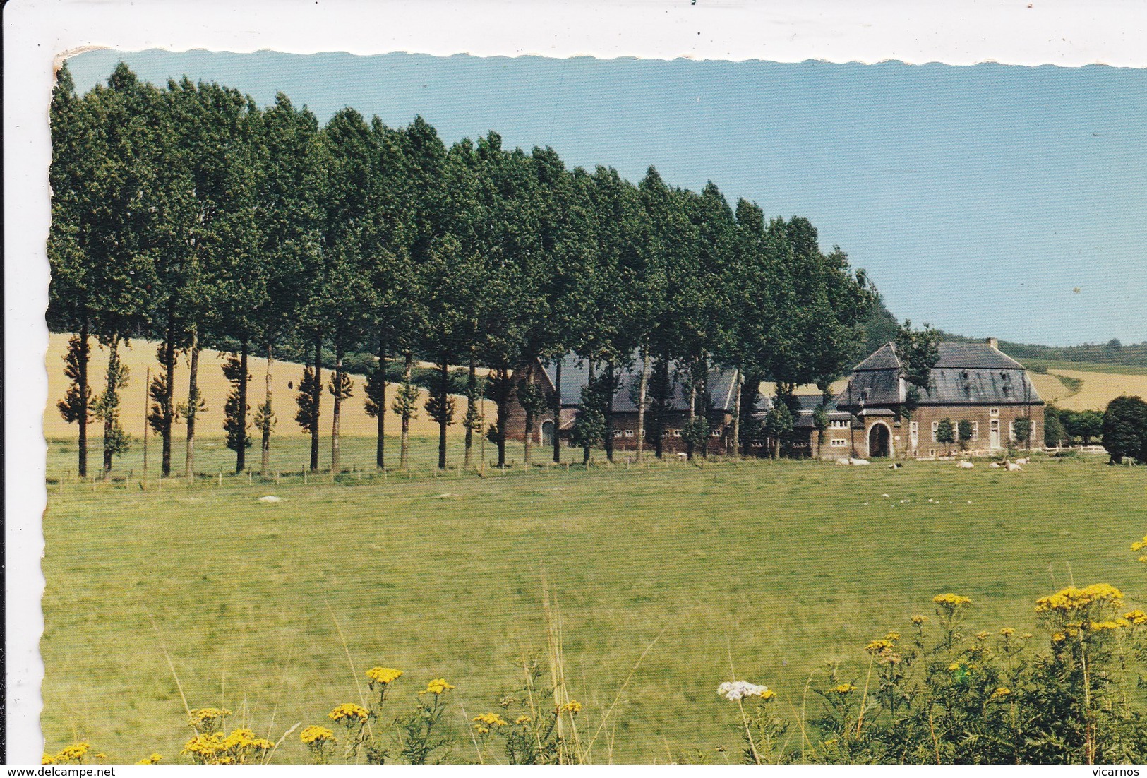 CP BELGIQUE WAVRE Ferme De L'Hoste - Wavre